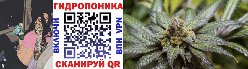 Купить наркотик Сланцы МАРИХУАНА  кракен вход  Гашиш 