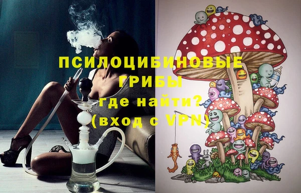 мет Арсеньев