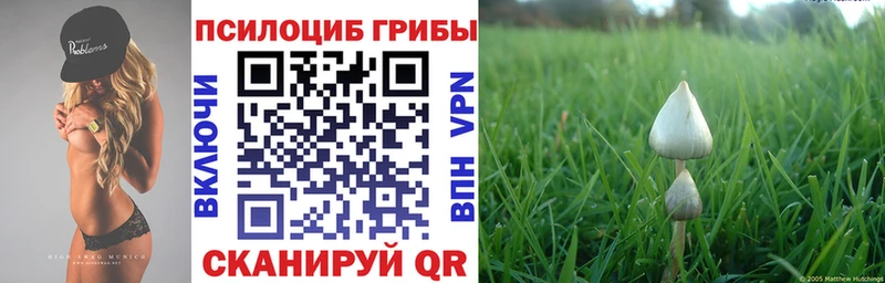 Галлюциногенные грибы Cubensis  ссылка на мегу зеркало  Сланцы 
