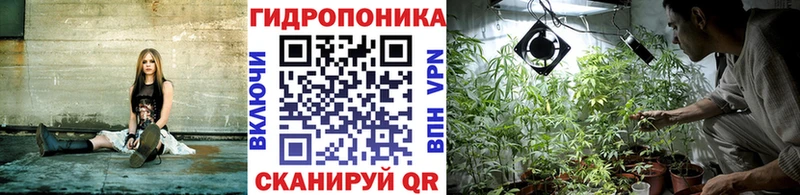 Марихуана VHQ  mega маркетплейс  Сланцы 